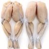 Wholesale frog legs fr...