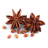 Pure Natural Plant Extract Steam Distillation Star Anise Oil 99% Anethole