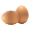 Farm Fresh Chicken Table Eggs / White Chicken Eggs