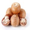 High Quality Whole Dried Betel Nut / Areca Nuts for Wholesale