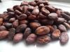 FERMENTED FINE COCOA BEANS (Criollo)