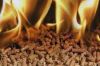 Wood pellets & Cha...