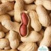 PEANUT, GROUNDNUT, DAT...