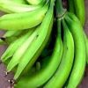 PLANTAIN, BANANA, PLANTAIN CHIP, BANANA CHIP, CASSAVA