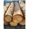 timber logs,