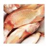 Seafood Fresh Frozen Red Tilapia Fish Red Snapper Tilapia Fish