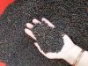 Good Black Pepper 100%...