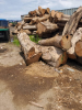Teak logs