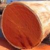 Padauk 