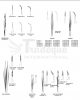 Fine Patterns Forceps,...
