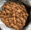 Apricot Kernels