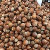 Hazelnuts 