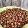 Hazelnuts 