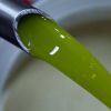 Organic Olive Oil 