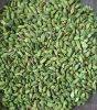 Green Cardamom