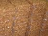 Quality and Sell PECAN...