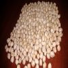 Quality and Sell Best Quality Healthy Kabuli ChickPeas 12 MM 42/44 Count/Kabuli