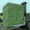 Quality and Sell âAlfalfa Hay, Meat Bone Meal, Fish Meal, Soyabean Meal, Wheat Bran, Wheat Gluten Meal,