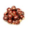 Quality and Sell new season small bag packaged Organic Roasted Chestnuts with shell