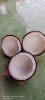 Coconut Semi Husked Fr...