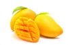 Fresh Cat Chu Mango From Vietnam- High Quality Fresh Fruit Smooth 100% Natural Sweet (HuuNghi Fruit)