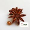 vietnam Star anise Harvesting crop Cheap High quality Hot sale