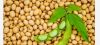Soya beans, maize, yam...