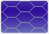 Hexagonal wire mesh