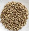 robusta coffee beans