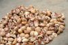 betel nut