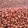betel nut