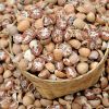 betel nut