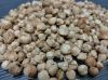 cardamom 