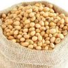 Soybean