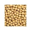 Soybean
