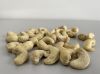 Cashew Kernels