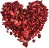 Dries Rose Petals