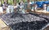 Coconut shell charcoal