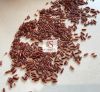 Vietnam Red Dragon Rice OEM