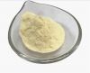 Spray Drying Pineapple Powder Pineapple Slices