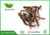  Dandelion Root