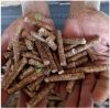 Wood Pellet