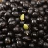 wholesale large number High Quality Organic Black Kidney Beans