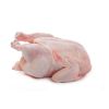 Frozen Frozen Chicken 3 Joint Wings Chicken halal frozen chicken