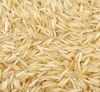 Premium Quality White and Parboiled Rice for Export Wholesale Bulk Suppliers of Basmati Non-Basmati Long Grain Rice