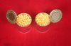 canned sweet corn