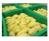 Frozen Durian with High Quality