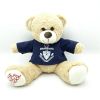 Custom plushies stuffe...