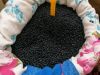  All Types of lentils