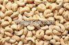 Cashew nut